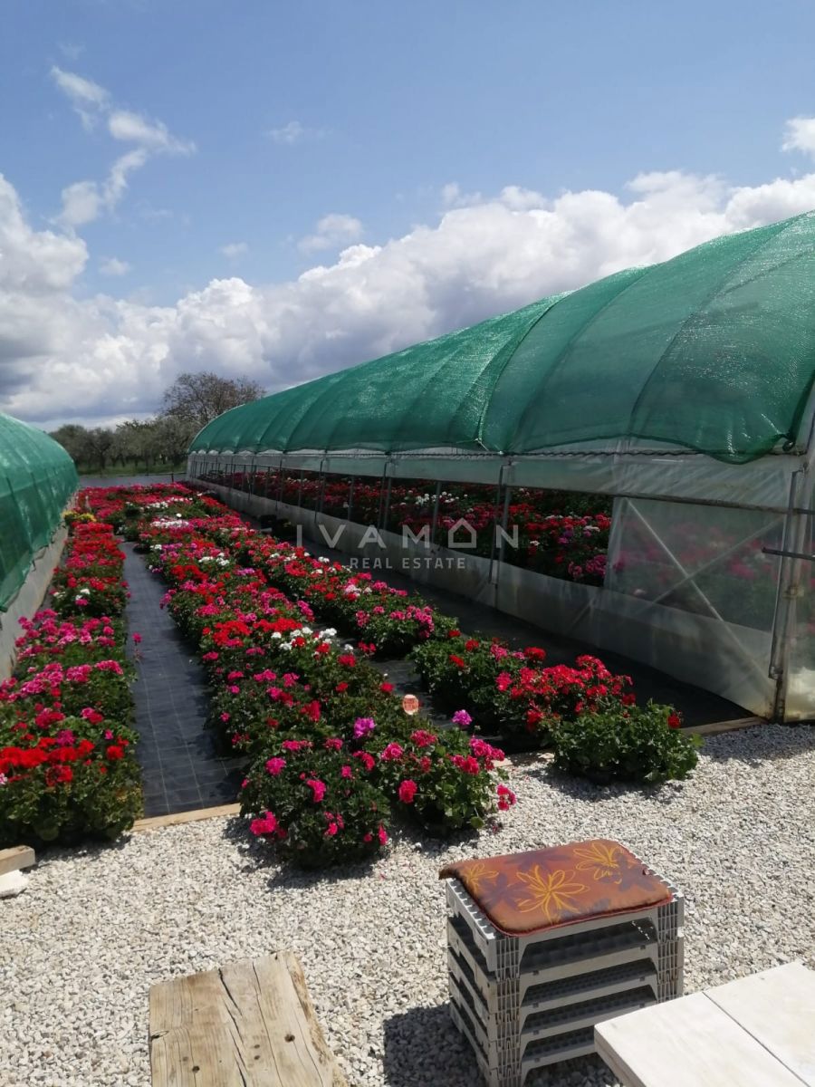 Terreno Agricolo con 3 Serre