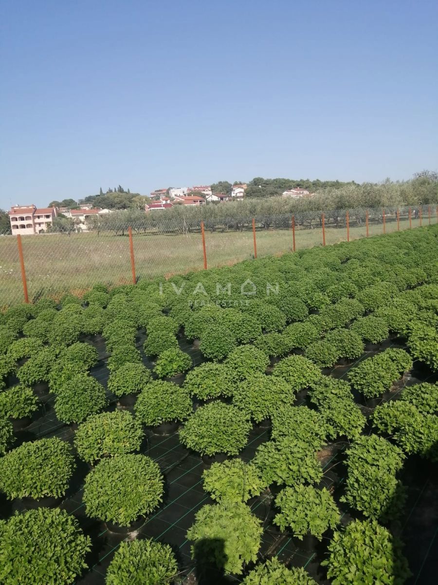 Terreno Agricolo con 3 Serre