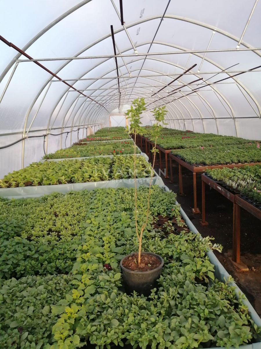 Terreno Agricolo con 3 Serre