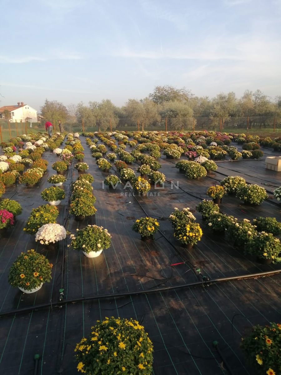 Terreno Agricolo con 3 Serre