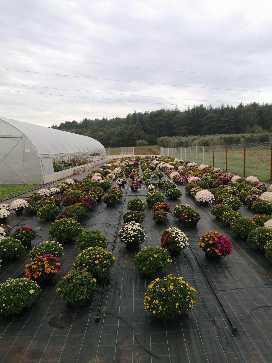 Terreno Agricolo con 3 Serre