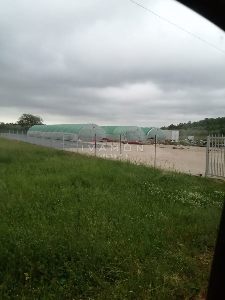 Terreno Agricolo con 3 Serre