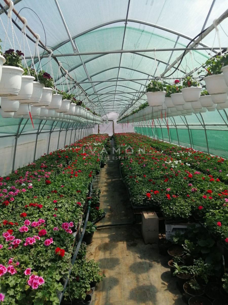 Terreno Agricolo con 3 Serre