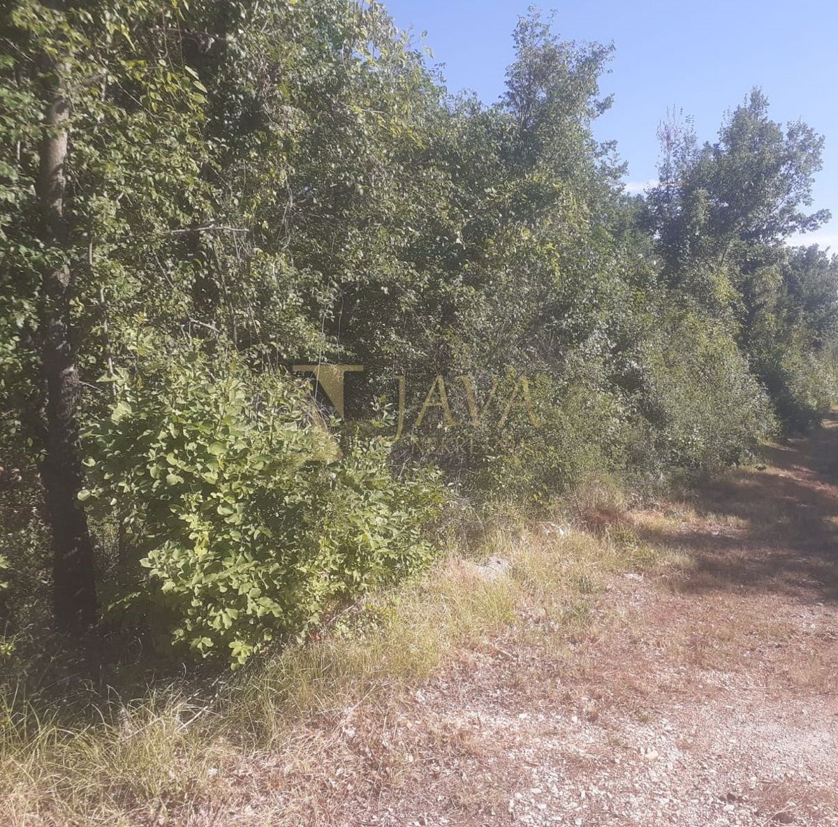 Terreno Juršići, Svetvinčenat, 16.437m2