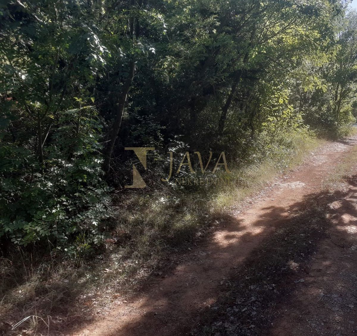 Terreno Juršići, Svetvinčenat, 16.437m2