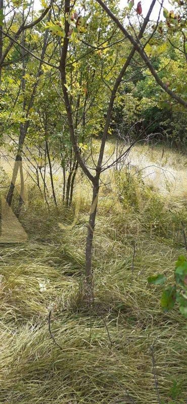 Terreno Plešići, Kostrena, 2.100m2