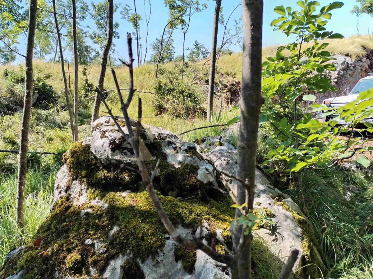 Terreno Breza, Klana, 2.536m2