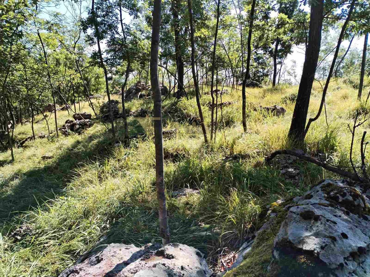 Terreno Breza, Klana, 2.536m2