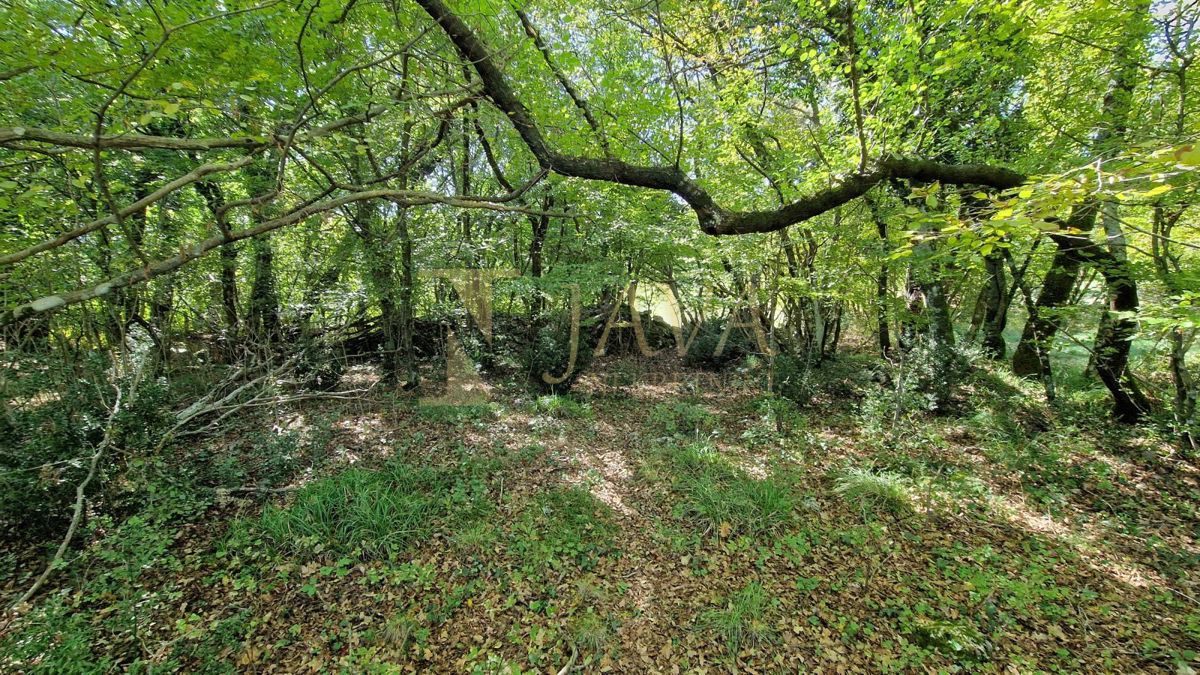 Terreno Čavle, 5.292m2