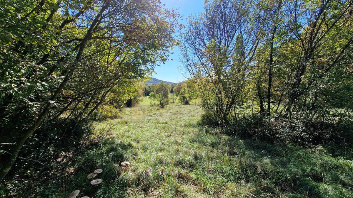 Terreno Čavle, 5.292m2