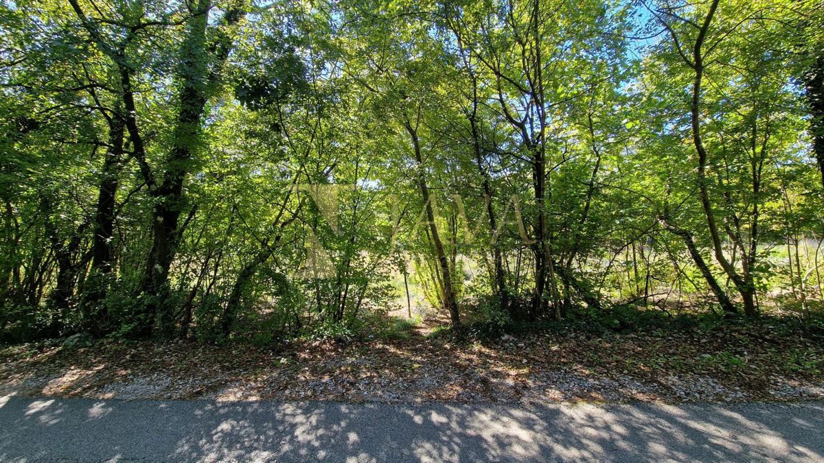 Terreno Čavle, 5.292m2