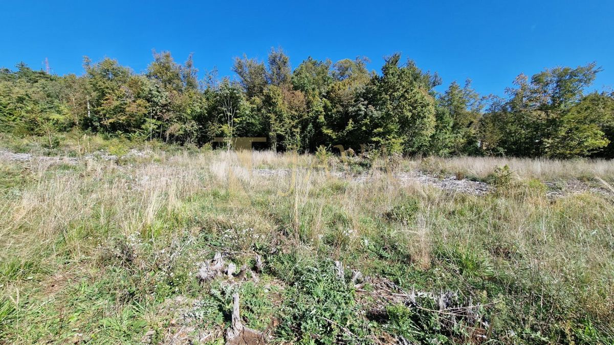 Terreno Čavle, 5.292m2