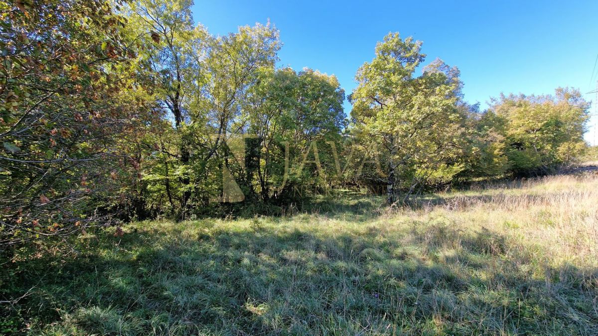 Terreno Čavle, 5.292m2