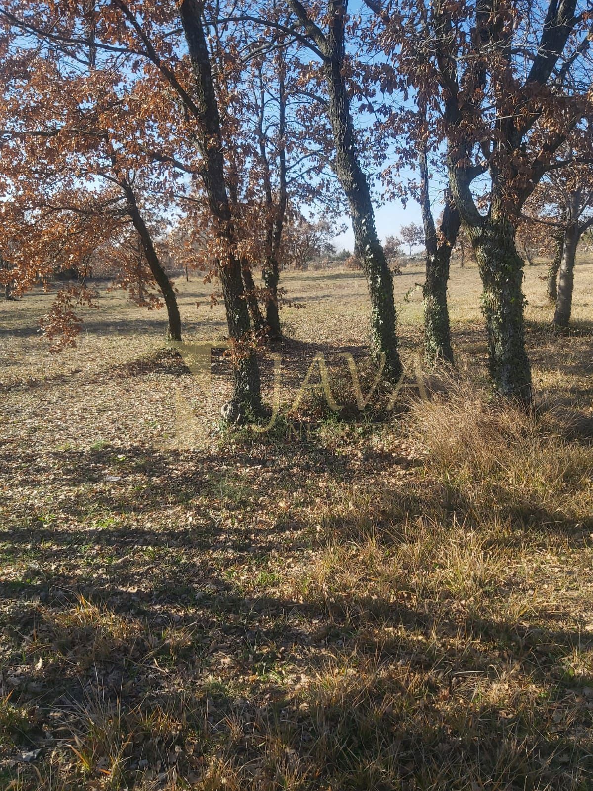 Terreno Smoljanci, Svetvinčenat, 3.996m2