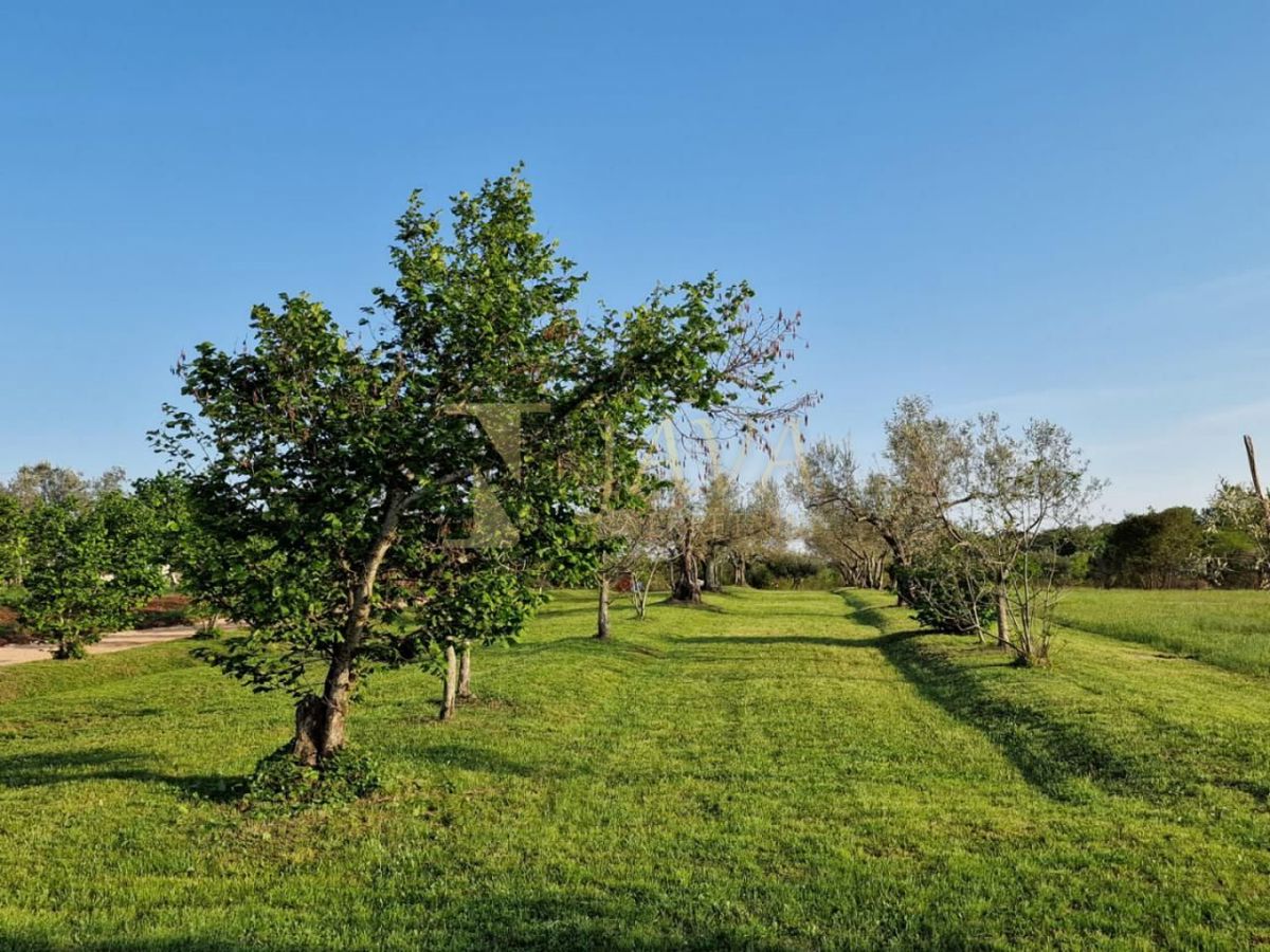 Casa Materada, Umag, 143m2