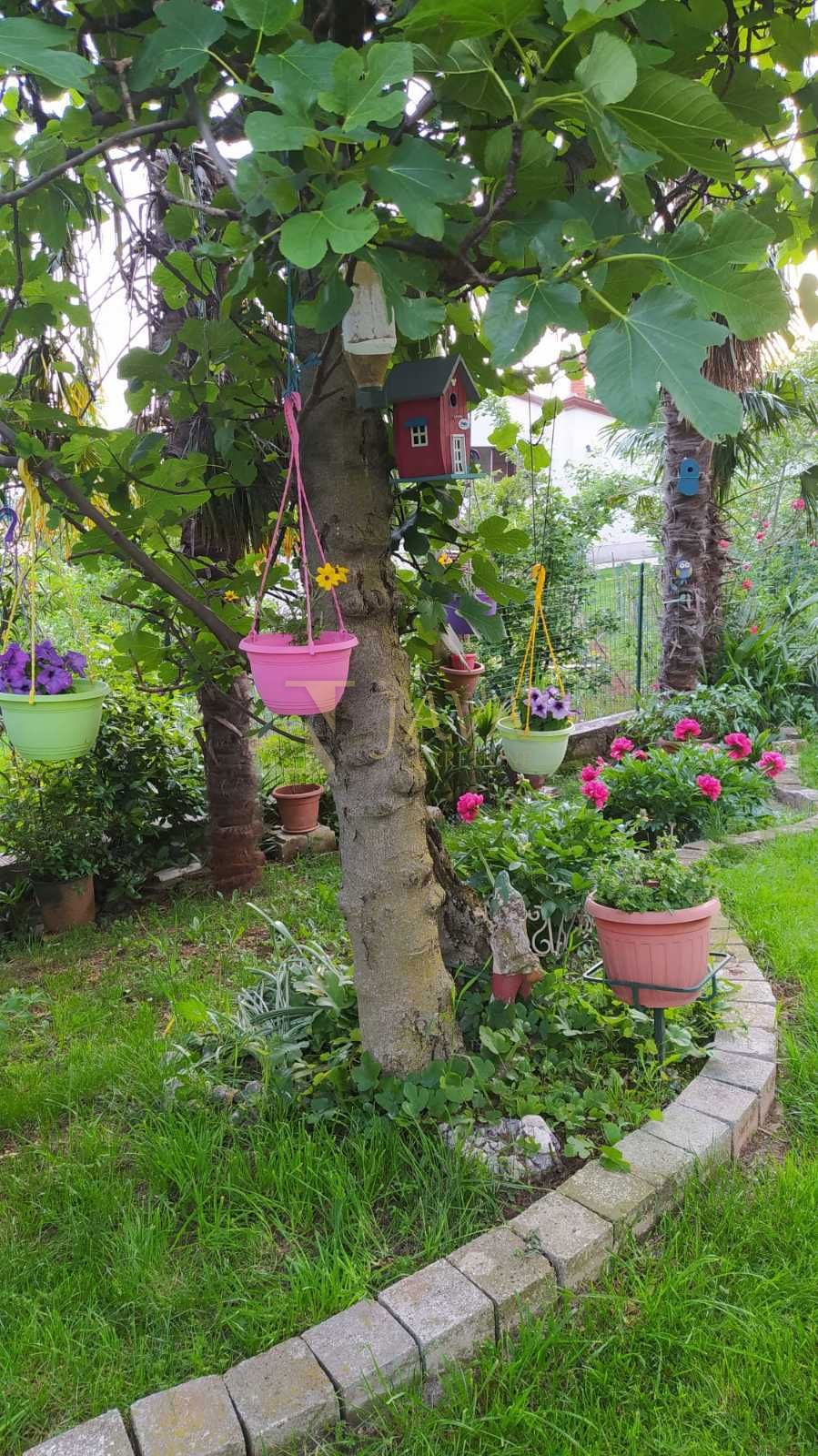 Casa Cernik, Čavle, 320m2