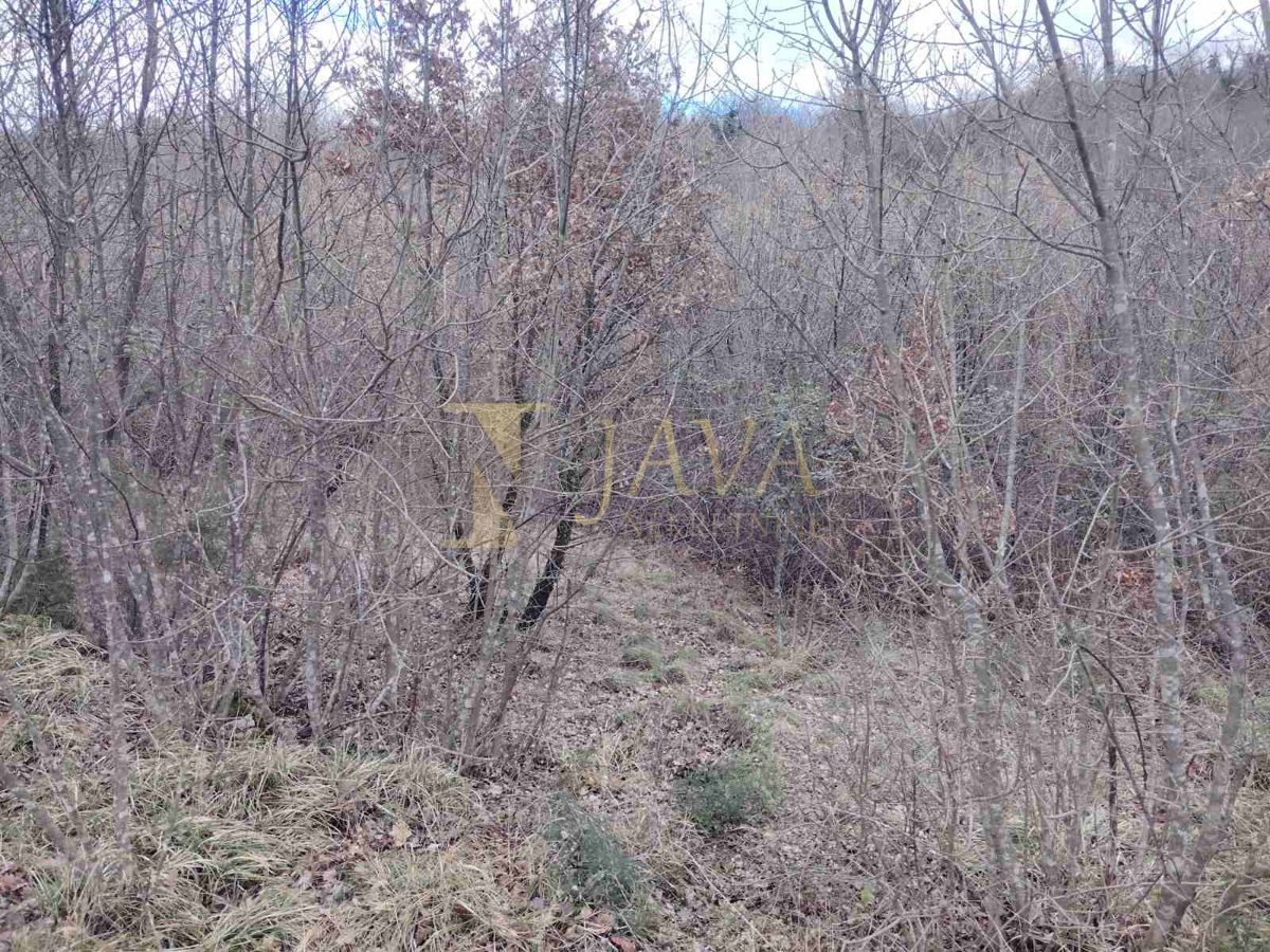 Terreno Gornja Drenova, Sveti Ivan Zelina, 3.361m2