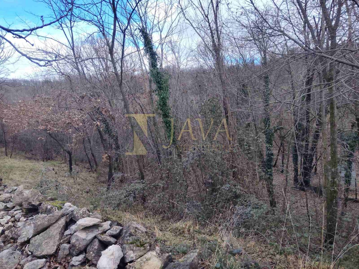 Terreno Gornja Drenova, Sveti Ivan Zelina, 3.361m2