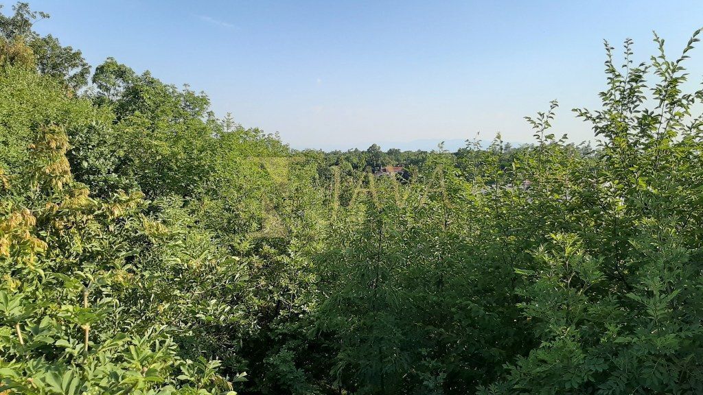 Terreno Gornja Drenova, Sveti Ivan Zelina, 1.905m2