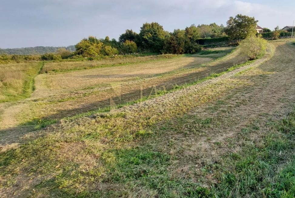 Terreno Lindar, Pazin - Okolica, 3.153m2