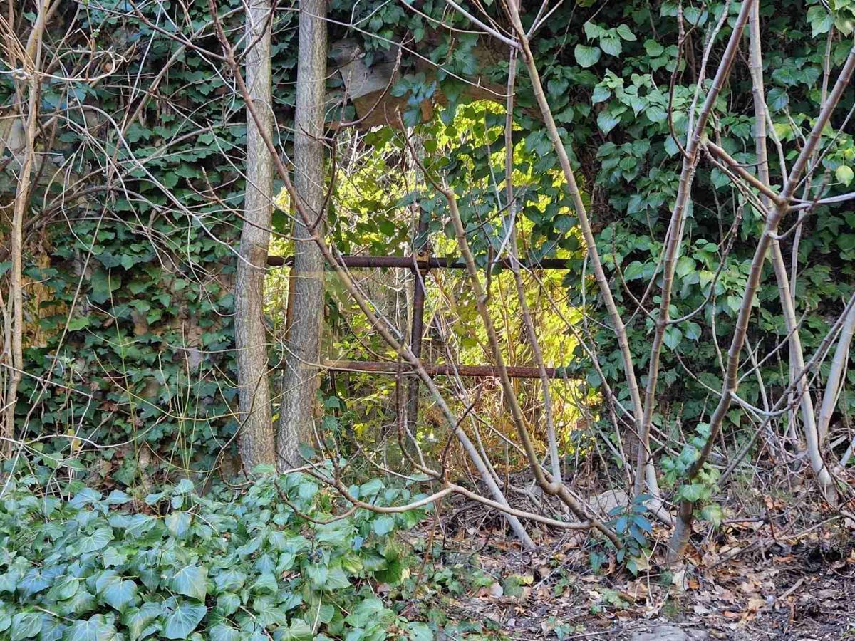 Casa Završje, Grožnjan, 205m2