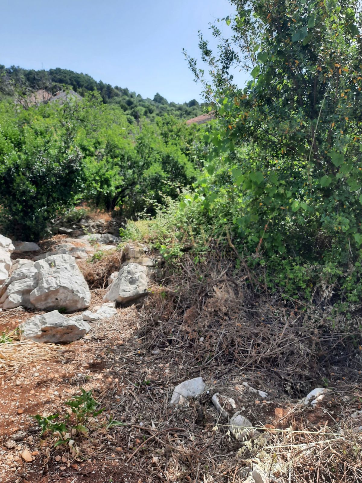 Terreno Veli Iž, Zadar - Okolica, 547m2