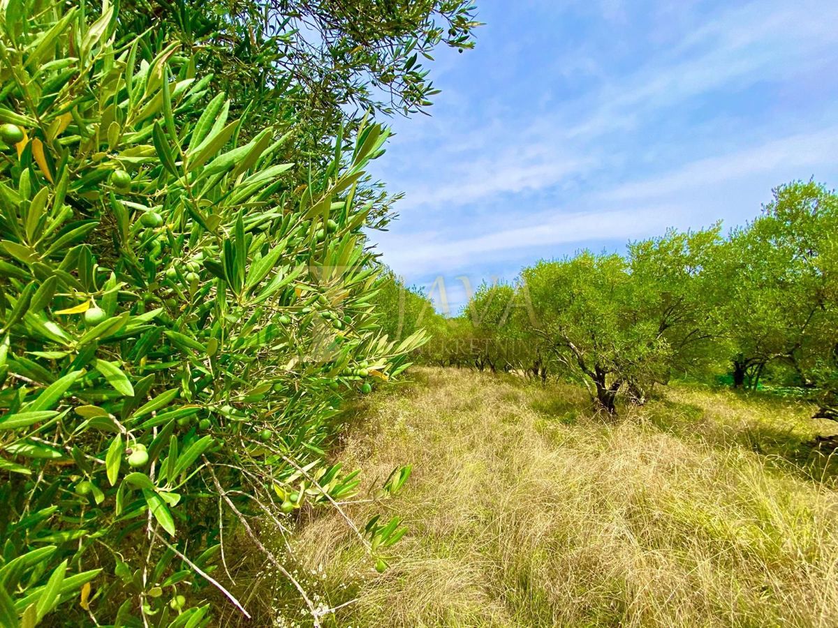 Terreno Draguć, Cerovlje, 2.257m2