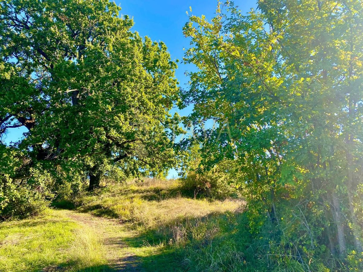 Terreno Draguć, Cerovlje, 2.257m2