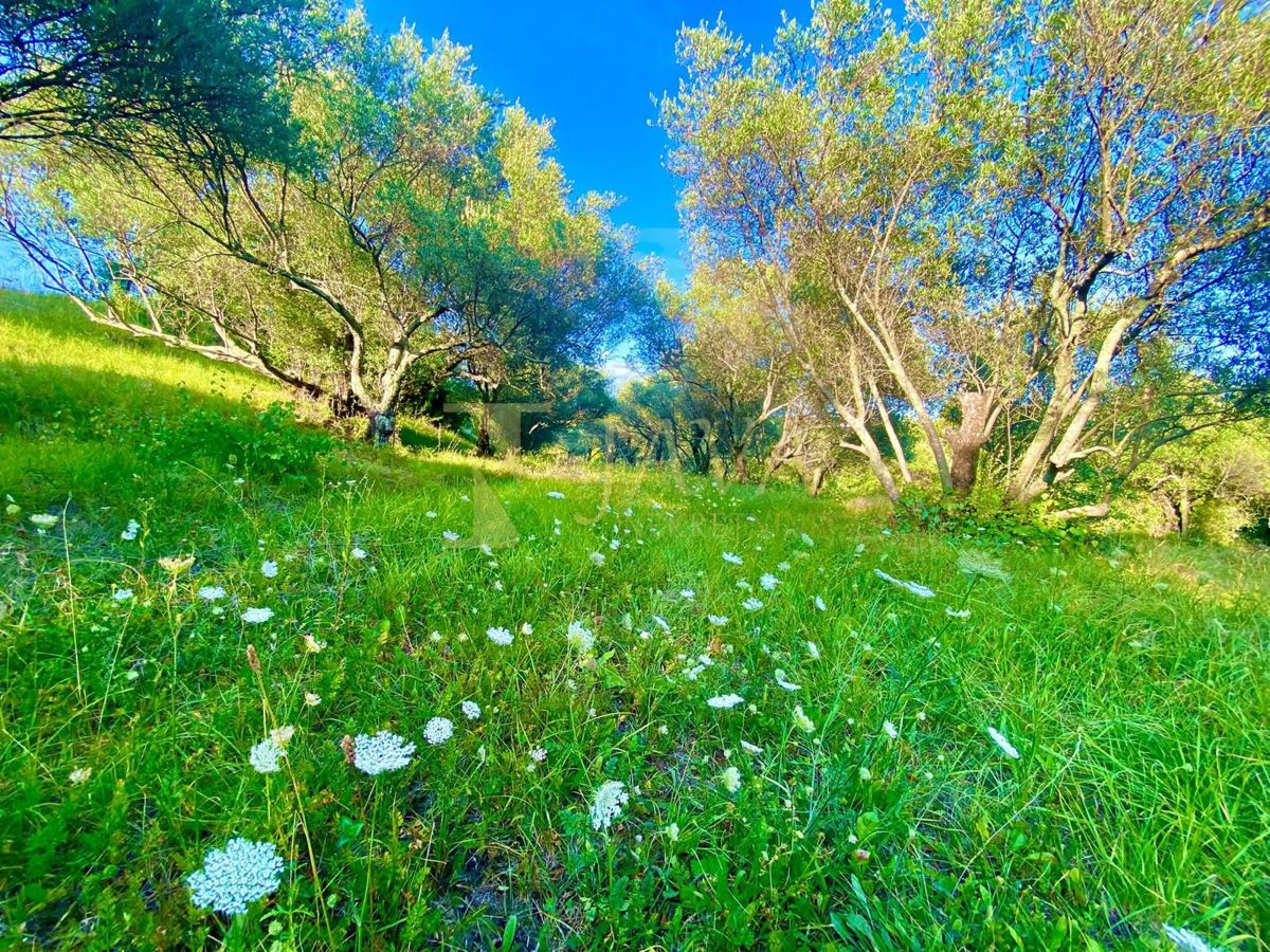 Terreno Draguć, Cerovlje, 2.257m2