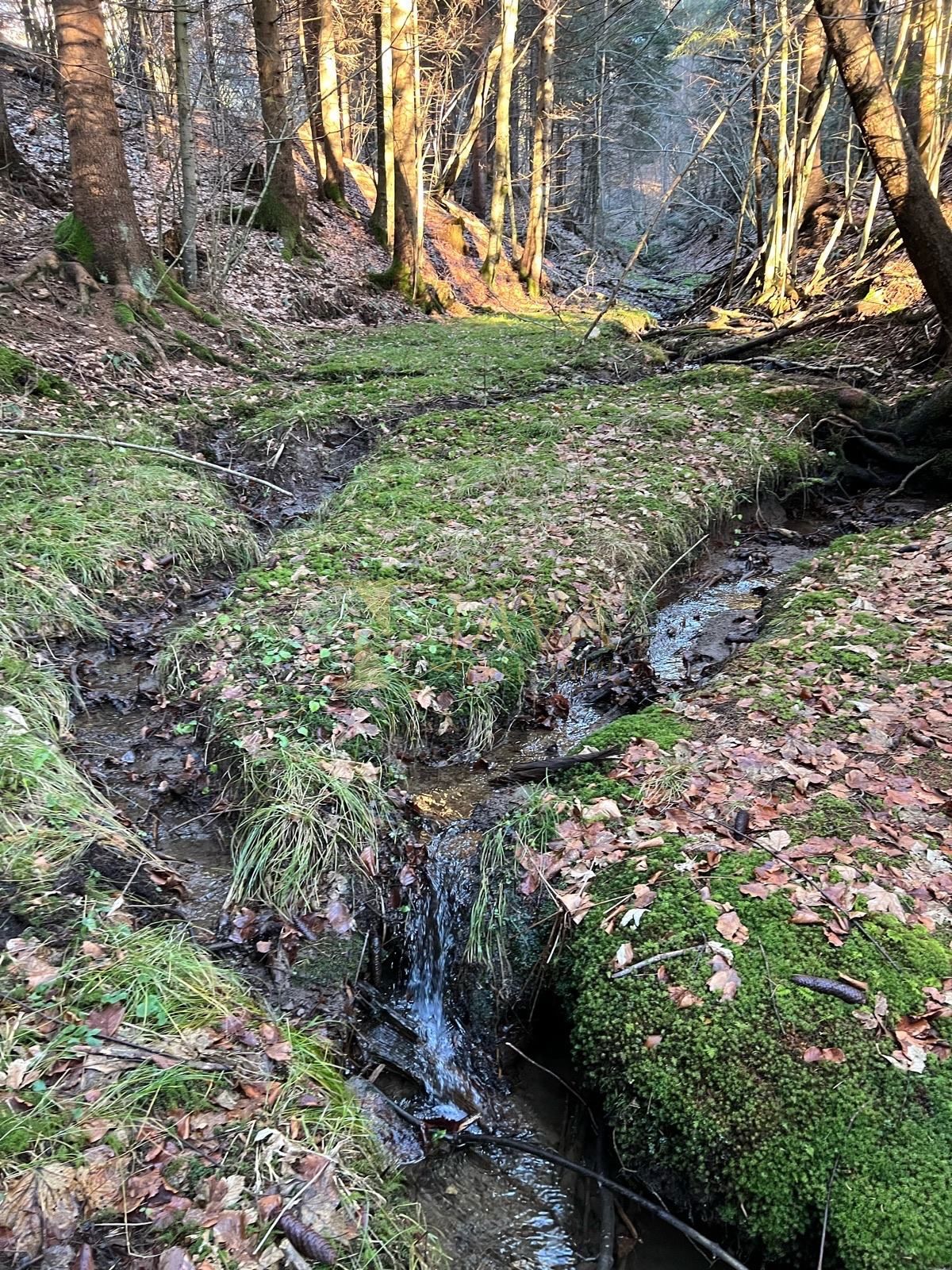 Terreno Hlevci, Skrad, 12.500m2