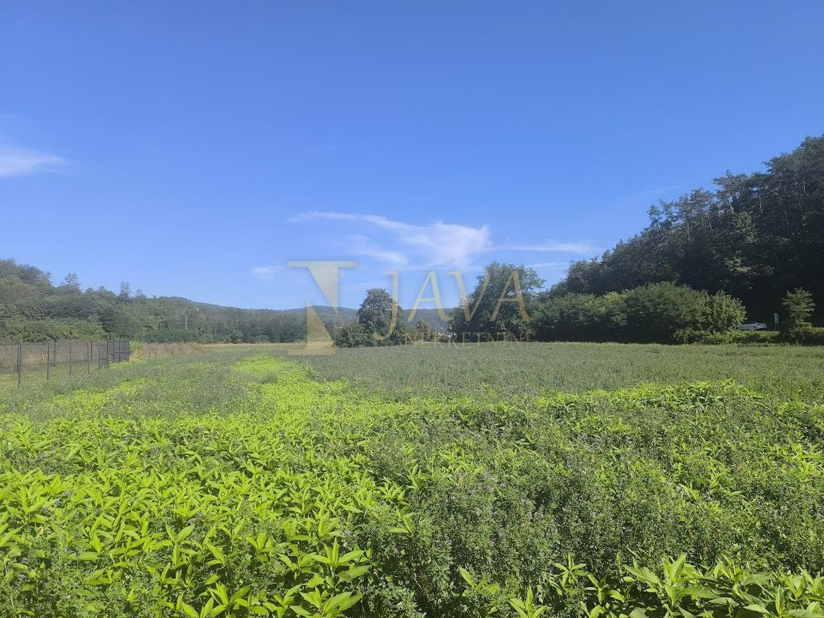 Terreno Beram, Pazin - Okolica, 6.200m2