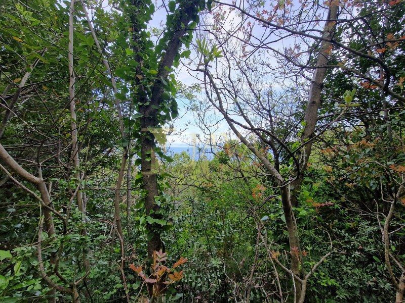 Terreno Mošćenička Draga, 1.428m2