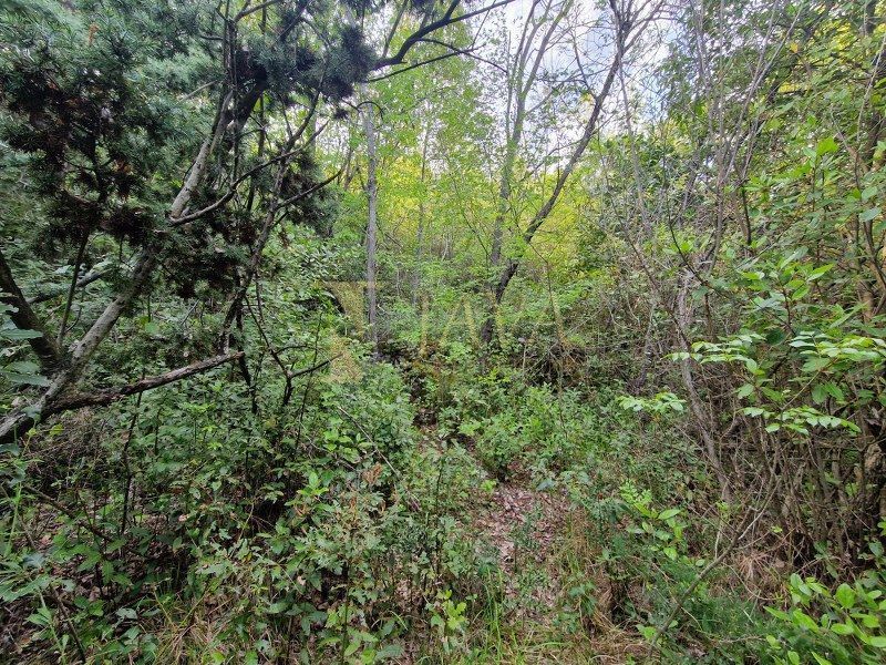 Terreno Mošćenička Draga, 1.428m2