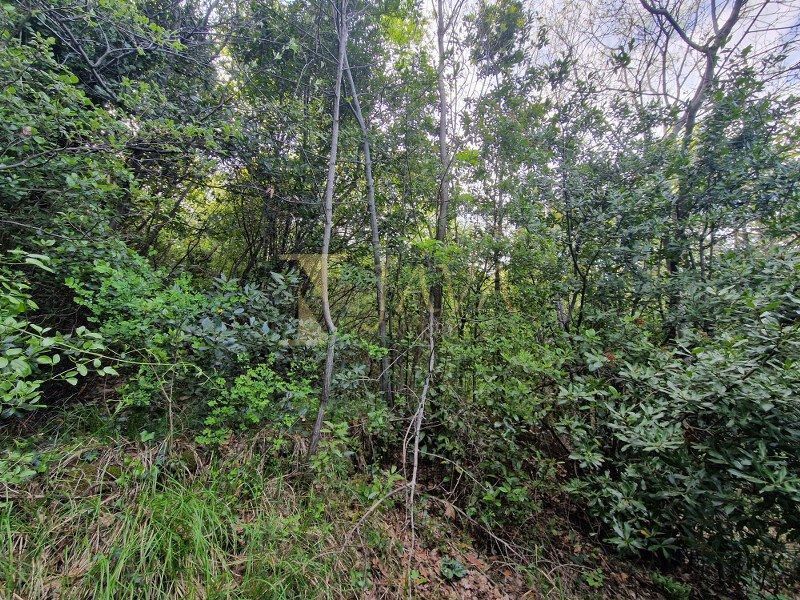 Terreno Mošćenička Draga, 1.428m2