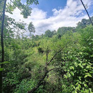 Terreno Mladenići, Viškovo, 1.117m2