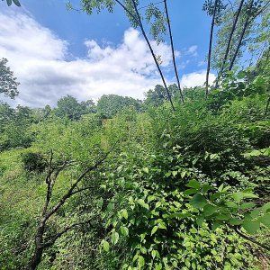 Terreno Mladenići, Viškovo, 1.117m2