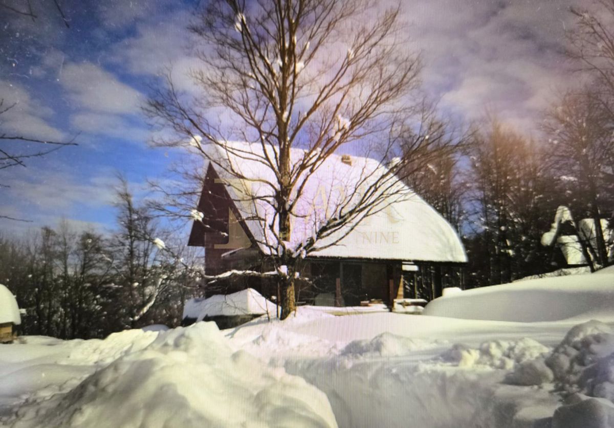 Casa Crni Lug, Delnice, 186m2