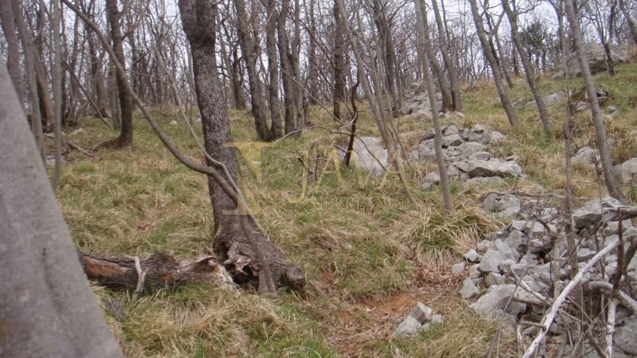 Terreno Podhum, Jelenje, 6.400m2