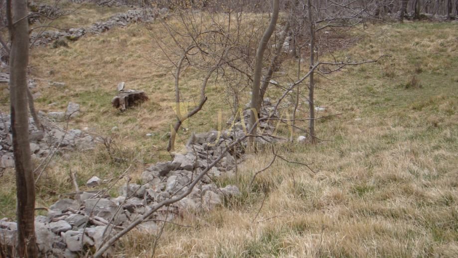 Terreno Podhum, Jelenje, 6.400m2