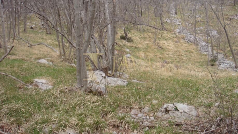 Terreno Podhum, Jelenje, 6.400m2