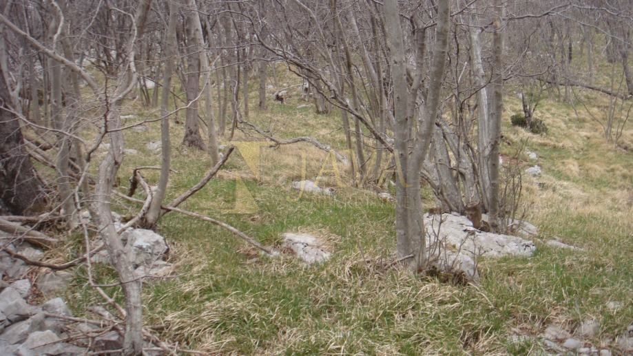 Terreno Podhum, Jelenje, 6.400m2