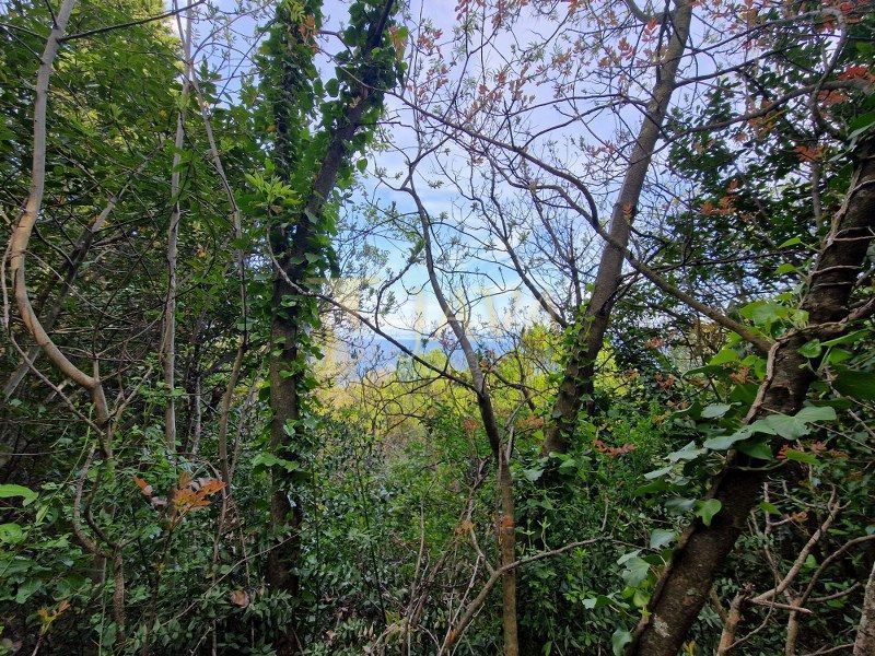 Terreno Mošćenička Draga, 850m2