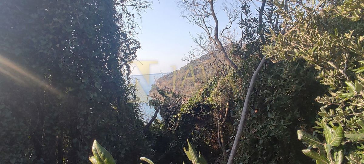 Terreno Mošćenička Draga, 1.550m2