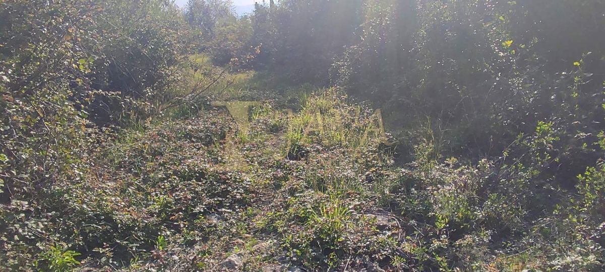 Terreno Mošćenička Draga, 1.550m2