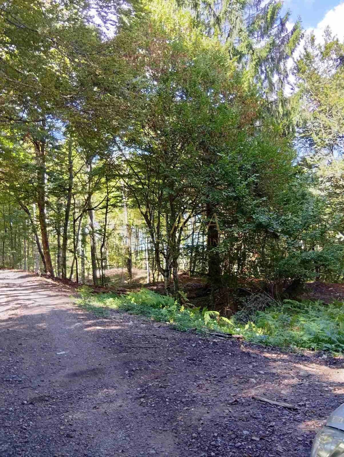 Terreno Lukovdol, Vrbovsko, 31.176m2