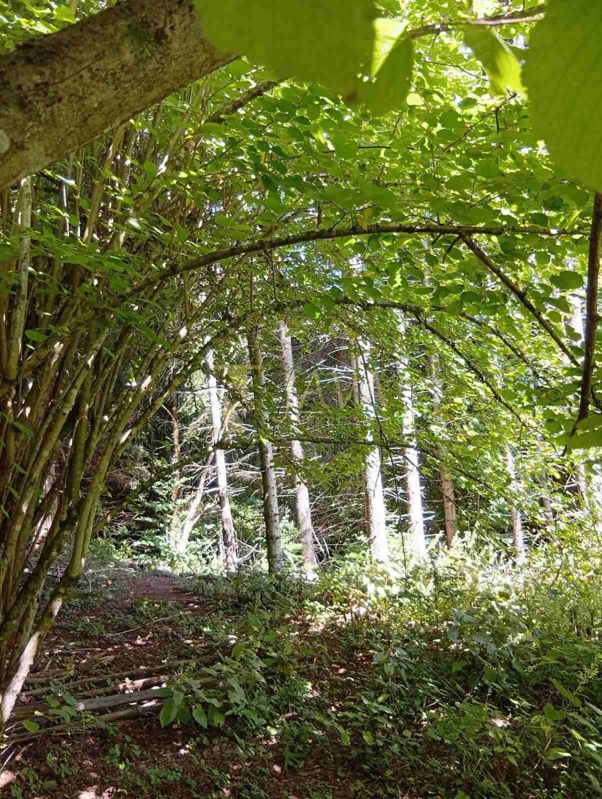 Terreno Lukovdol, Vrbovsko, 31.176m2