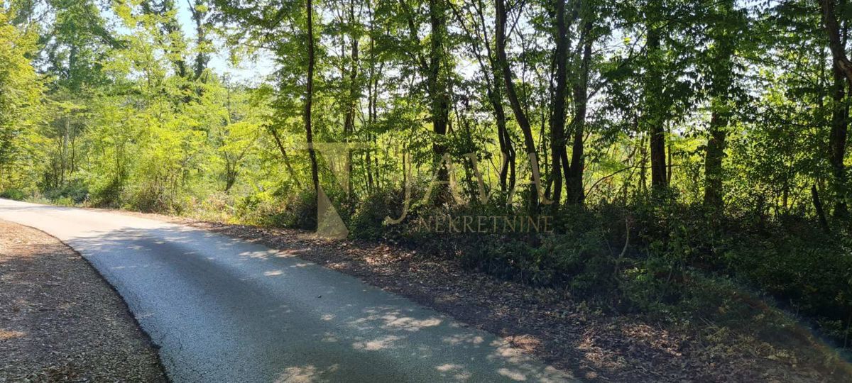 Terreno Potpićan, Kršan, 10.128m2