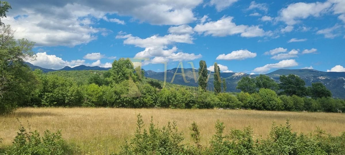 Terreno Soboli, Čavle, 3.500m2