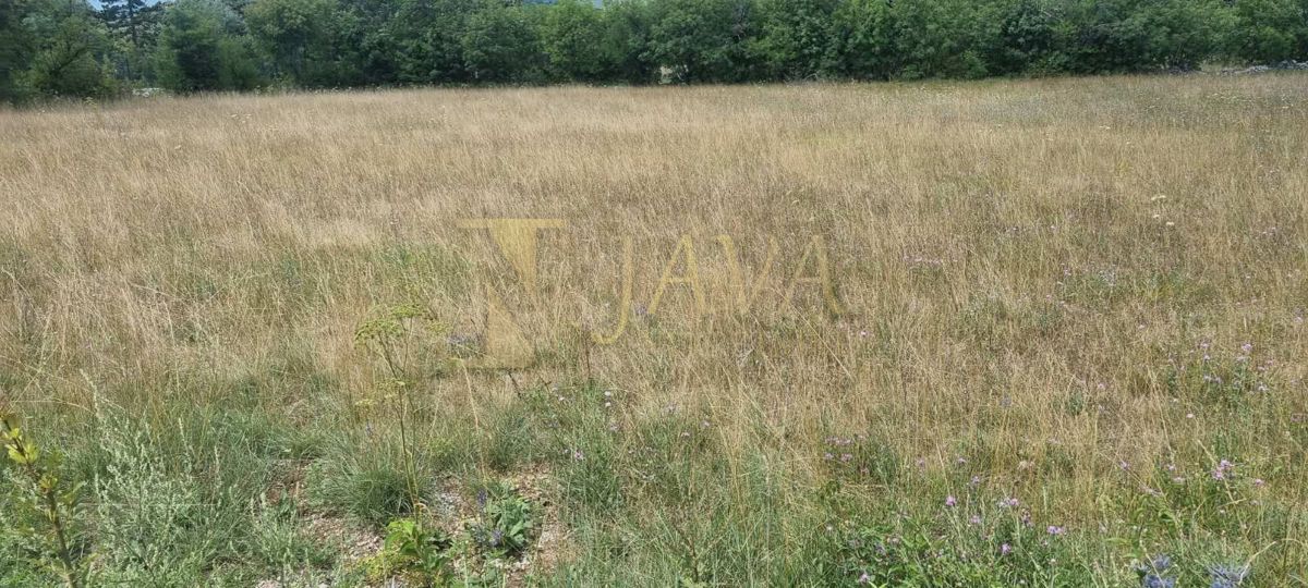 Terreno Soboli, Čavle, 3.500m2