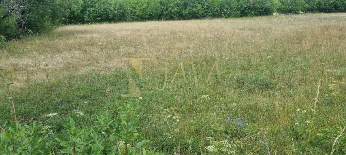 Terreno Soboli, Čavle, 3.500m2